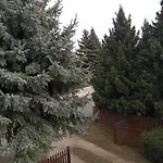 Borostyán *