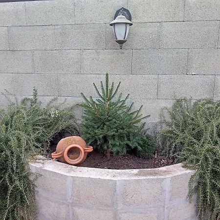 Borostyán Balatonkeresztúr