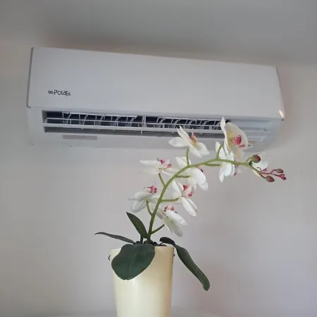 Borostyan Vendeghaz Appartement *