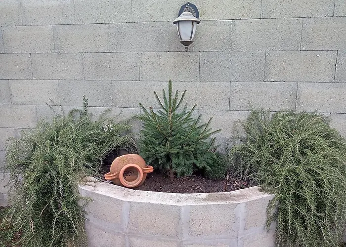 Borostyan Vendeghaz Balatonkeresztur