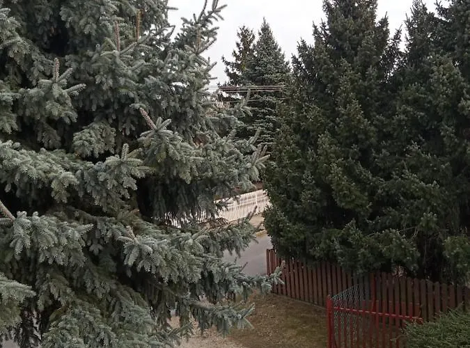 Borostyan Vendeghaz *