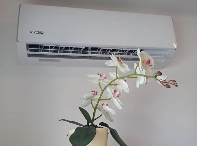 Borostyan Vendeghaz Апартаменты *